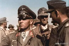 二战德军1800名士兵真的在非洲原始森林遭行军蚁覆灭吗？图片