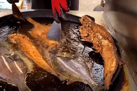 济南小两口摆摊卖煎鱼，生意好，一天卖400条，靠一口锅买房买车图片