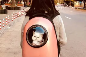 太空舱猫包可以上火车吗图片