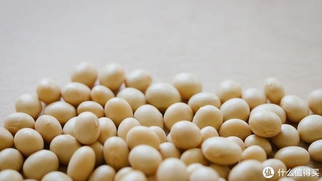 增肌蛋白粉横评 如何选择正确的蛋白粉看这一篇就够了 含健身分享