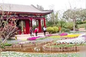 南宁园博园正式向公众开放，玩转南宁园博园，这份攻略请收好视频封面