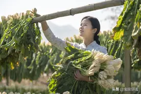 知青老刘：村里的怪女人，二十多岁守寡，脸上总是抹锅底灰图片
