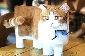 《我的世界》一周趣图方块生物乐趣多 流浪商人荣登最惨职业榜首图片