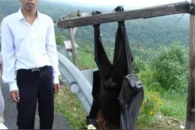 word天！原来他们的真实大小是这样的，简直超乎想象图片