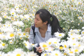 初夏赏花好去处，北京这个免费公园火了，被称为公主的后花园图片