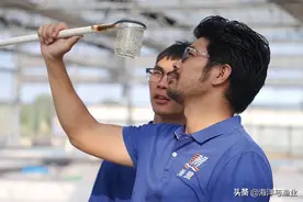 做水产界的“京东”！虾农为何愿意相信海盟虾苗？图片