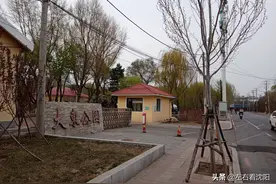 沈阳“大东公园”游记，春天来了，沈阳公园行系列2图片