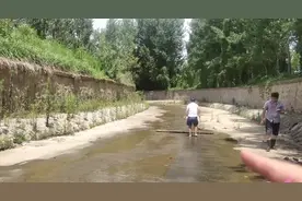 摆拍？江西一河道出现大量黑鱼，有人一小时不到捕获400条图片