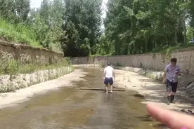 摆拍？江西一河道出现大量黑鱼，有人一小时不到捕获400条图片