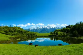 在舟曲，遇见拉尕山，就宛如遇见仙境！图片