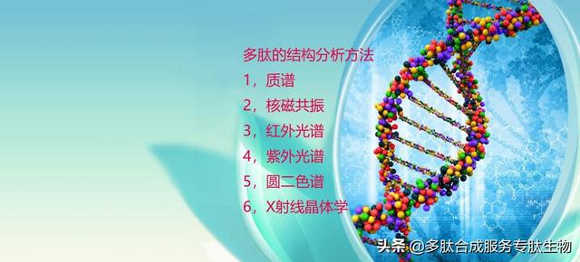 澶氳偨鐨勭粨鏋勫垎鏋愭柟娉? onerror=