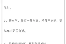 凛冬将至。。。图片