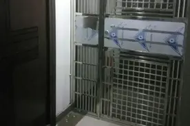 4种“自嗨”行为看似聪明，实则是愚蠢，浪费钱的同时还有反作用图片