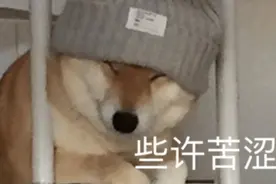 考研英语和六级哪个难？图片