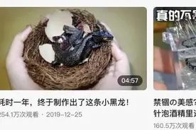 究竟有多少人喜欢在网上看美女玩虫 ？图片