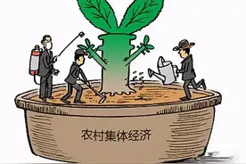河东区探索实施村级集体经济 河东区探索实施村级集体经济“红筹股份”增收模式图片