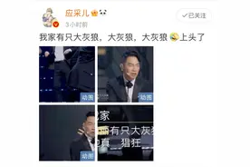 陈小春那么爱张柏芝，为什么还是娶了应采儿图片