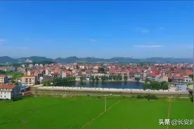 近日，学习强国报道我市乡村振兴工作图片