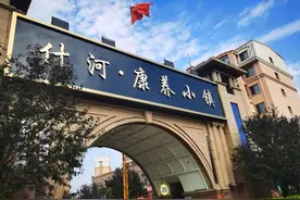 以租代售，兴建别墅：哈尔滨养老惠民项目“变了味”图片