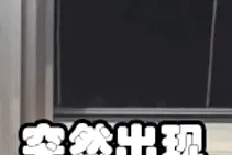 真人体验光子嫩肤！告诉你这上千元花得值不值图片