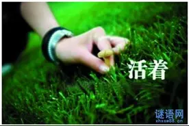 人的生命有价格吗？图片