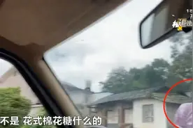 蚊虫飞舞，添加剂靠手感！每天送货上百件，黑心花式棉花糖流向调查图片