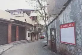 你可曾见过这里的一大片芋头田？「印象岳阳」图片