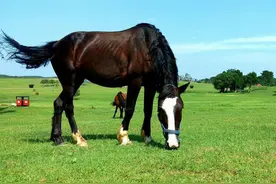 为何大部分男人都爱吃“回头草”？让他们蠢蠢欲动的究竟是什么？图片