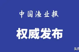 农业农村部办公厅关于印发《海洋捕捞渔船拆解操作规程》的通知图片