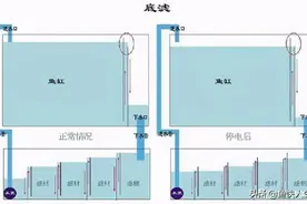 养鱼小秘诀，如何选择过滤系统-第七期：底缸过滤、侧滤、背滤图片