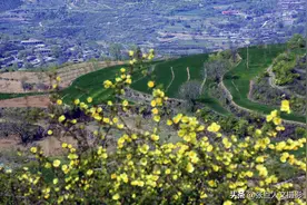 山西一个小山村被鲜花环抱 村里有精美的古建筑 即将成为空村图片