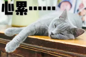我家8岁孩子和7岁女孩相撞，女孩摔倒原因未明，学校让我垫付医药费，这合理吗？图片