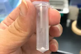 原创性突破！中科院科学家首次在实验室实现人工合成淀粉图片