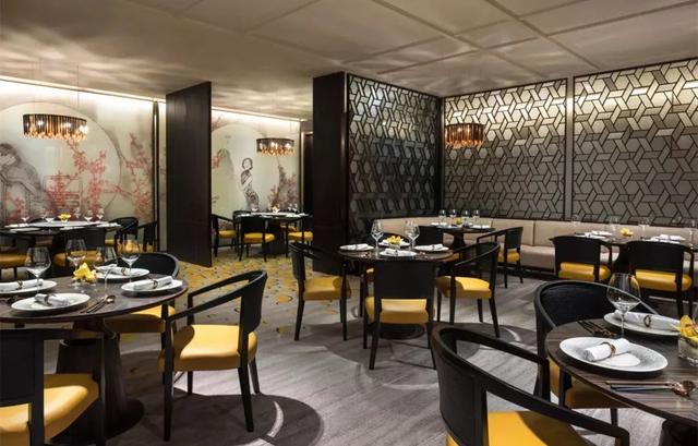 粤菜炒花胶的做法大全 2026年粤菜炒花胶的做法大全视频