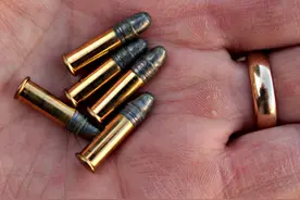 口径太小，动能不足？常用于比赛的.22LR运动弹的起源图片