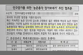 拯救农村婚姻靠越南？在韩越南新娘近半遭家庭暴力，多人死亡图片