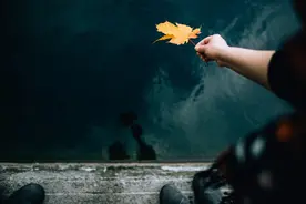 抑郁症：走向康复的4点建议，我就是这么走出来的图片