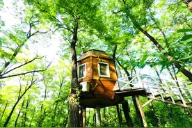 篝火烧烤 摸鱼捉虫 睡在动物园…… 十一亲子出游，编辑私藏周边4条经典线路来啦图片