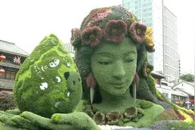 原来她头发上就有50多种植物！解密立体花坛里“花仙子”背后的生物密码图片