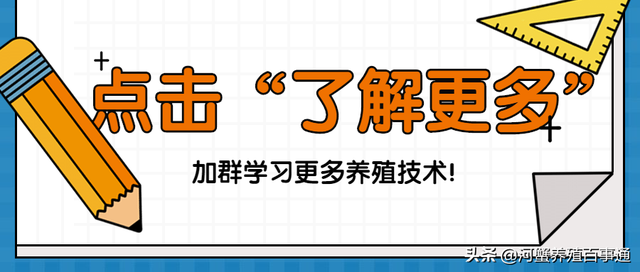 河蟹养殖：为何别人水草能有那么好的长势而我的水草有黑根和黄根