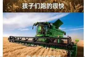 扮猪吃老虎图片