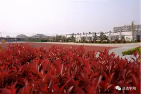 来泽达学院汽车工程系，高级技能人才就是你图片