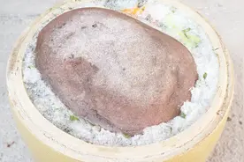 酸菜坛子总起白花？只需放点这个小东西，轻松不生白花视频封面