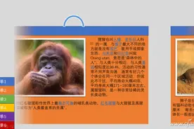 办公小技巧：一个页面 实现多页滑动显示图片