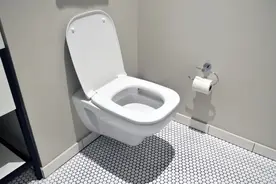家里有两个卫生间，要不要装个蹲坑？图片
