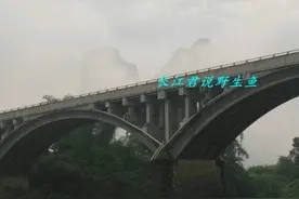 天空忽然多出两座山，广西男子钓鱼碰到海市蜃楼，网友：羡慕图片