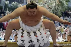 日本相扑选手收入超高，免费吃喝，擦屁股都有人服务？图片