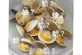 37年的老游戏搞出了个船新版本，好评高达96%！玩家：燃起来了图片