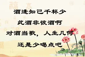 今天你喝酒了吗？白酒，啤酒，如何喝会让身体更'健康'图片