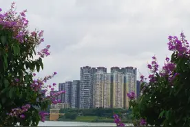 心病，还是要用心来医；只要心好，一切都好！图片